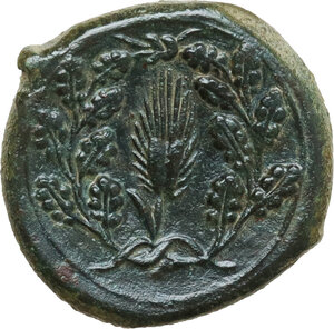 reverse: Syracuse.  Pyrrhos (278-276 BC).. AE 19 mm