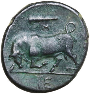 reverse: Syracuse.  Hieron II (275-215 BC).. AE 20.5 mm, c. 275-269/265 BC