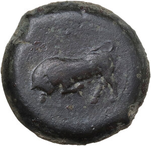 obverse: Tauromenion.  Mercenaries Campanoi. AE 32 mm, c. 370-358 BC