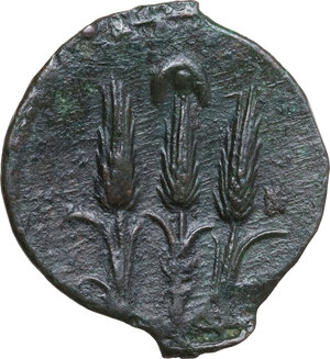 reverse: AE Shekel (?), c. 241-215 BC. Uncertain mint