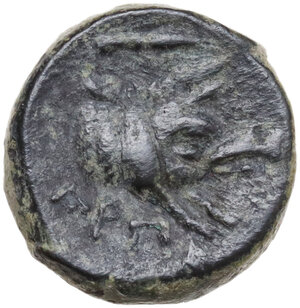 reverse: Northern Apulia, Arpi. AE 15.5 mm, c. 325-275 BC