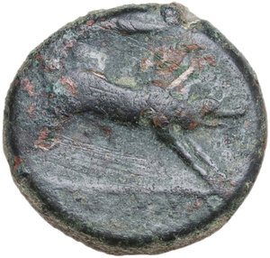 obverse: Northern Apulia, Ausculum. AE 20.5 mm. c. 300-275 BC