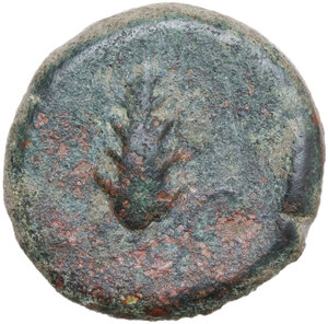 reverse: Northern Apulia, Ausculum. AE 20.5 mm. c. 300-275 BC