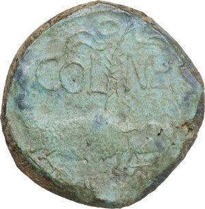 reverse: Augustus (27 BC - 14 AD) with Agrippa.. AE As, Nemausus mint, c. 20-10 BC