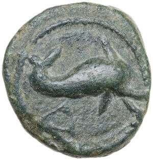 obverse: Northern Apulia, Salapia. AE 14 mm, c. 275-250 BC