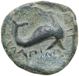 reverse: Northern Apulia, Salapia. AE 14 mm, c. 275-250 BC
