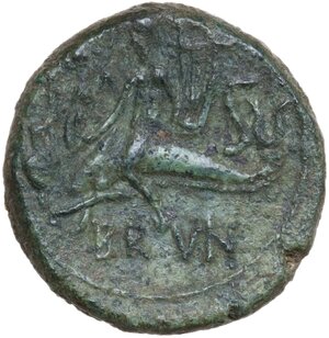 reverse: Southern Apulia, Brundisium. AE Semis, 2nd century
