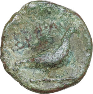 reverse: Southern Apulia, Orra. AE 16 mm. c. 250-225 BC