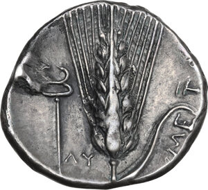 reverse: Southern Lucania, Metapontum. AR Stater, c. 340-330 BC