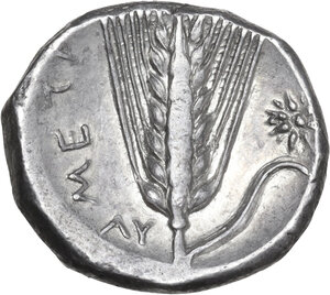 reverse: Southern Lucania, Metapontum. AR Stater, c. 330-290 BC