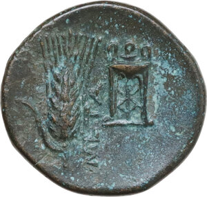 reverse: Southern Lucania, Metapontum. AE 16 mm, c. 300-250 BC