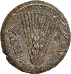 reverse: Southern Lucania, Metapontum. AE 16.5 mm, c. 300-250 BC
