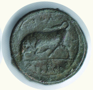 reverse: SIRACUSA - Agatocle (317-289) - Litra; D/ Testa di Persenide; R/ Toro.