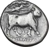 lot 16