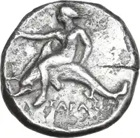 Reverse image