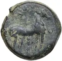 Reverse image