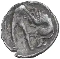 Reverse image