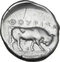 Reverse image