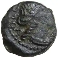 lot 7