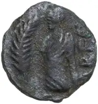 lot 7