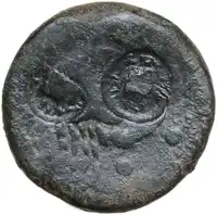 Reverse image