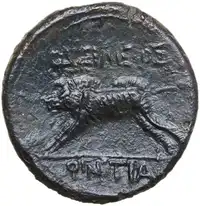 Reverse image