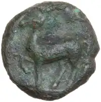 Reverse image