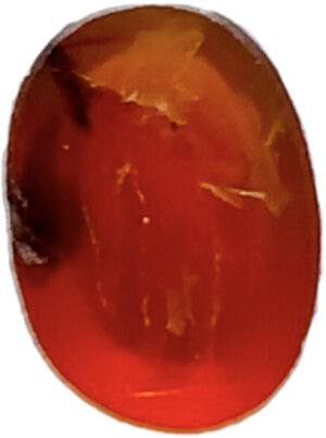 obverse: ROMAN CARNELIAN INTAGLIO  Roman period, c. 1st-3rd century AD.  Carnelian intaglio with the engraved representation of a standing male figure holding a Victoriola.  Dimensions: 9x7 mm