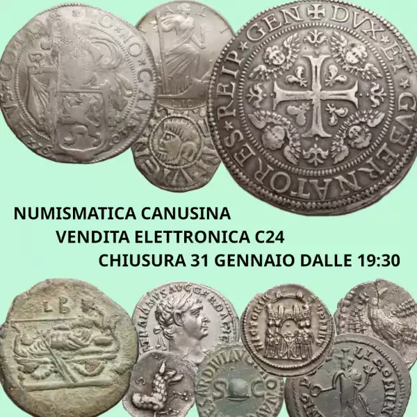 Canusina Asta 24