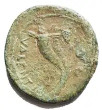 img-1