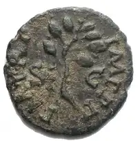 img-1