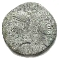 Reverse image