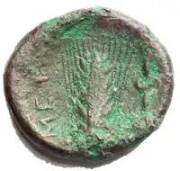 Reverse image