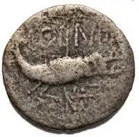 Reverse image