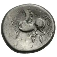 Reverse image