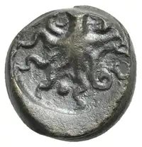 Reverse image