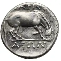 Reverse image