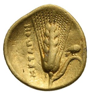 reverse: LUCANIA. Metapontum. Time of Alexander the Molossian, circa 334-330 BC. Tetrobol or Third Stater (Gold, 13.40 mm, 2.61 g), Achaian standard. Head of Hera to right, wearing stephane, pendant earring and necklace; her hair partially covered by stephane and falling down on her shoulders in curly locks. Rev. METAΠON Barley ear with six grains and leaf to right; above leaf, bird standing right with wings folded. Johnston G1. HN Italy 1578. HGC 1, 1022. SNG ANS 395. SNG Lockett 406. Dewing Coll. 377. Gillet Coll. 203. Very Fine and very rare.
As with many of the cities of Magna Graecia, the gold issues of Metapontum are typically associated with periods of abnormal military expenditure. The similarity of the head of Hera here to that on the issues of Tarentum during the time of Alexander the Molossian, and the exceptional appearance of Hera on an issue of Metapontum, suggest that this issue was struck when the city was allied with the Epirote king. 
From a Swiss collection formed before 2005.