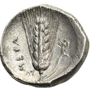 reverse: LUCANIA. Metapontum. Circa 330-290 BC. Nomos (Silver, 21.0mm, 7.72 g). Head of Demeter to right, wearing triple pendant earring and a grain wreath. Rev. META Barley ear of seven grains with leaf to right; above leaf, Nike standing to left holding wreath with both hands; to left, at base of barley ear, ΛΥ. Johnston Class C, 9.1; HN Italy 1591. SNG ANS 496-498. SNG Copenhagen 1225. SNG Lockett 423. HGC 1, 1063. Some corrosion and deposits, otherwise, good Very Fine.
