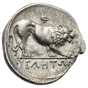 reverse: LUCANIA. Velia. Circa 340-334 BC. Didrachm or nomos (Silver, 22.00 mm, 7.53 g). Head of Athena to right, wearing crested Attic helmet decorated with griffin. Rev. Lion walking to right; above, Φ; in exergue, YEΛHTΩN. Williams Period V, Theta group, 296 (same dies). SNG Ashmolean 1228–1229 (same dies). SNG ANS 1307. BMC Italy, 310, 59 (same dies). HN Italy 1287. HGC 1, 1310. Area of weak strike with die break on obverse the evolution of which appears on Williams 296. Toned. Good Very Fine. 



