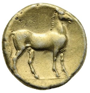 reverse: ZEUGITANIA. Carthage. Circa 280-270 BC. Stater (Electrum, 18.40mm, 7.43). Head of Tanit to left, wearing grain wreath, triple-pendant earring and necklace of oblong pendants. Rev. Horse standing to right on single exergual line. Jenkins & Lewis Group VII, 361. Viola, CNP 2.11. Müller II, 48. SNG Cop. 988. E. Acquaro, Le monete puniche del Museo Nazionale di Cagliari, 1974, 416-420. Good very fine. 