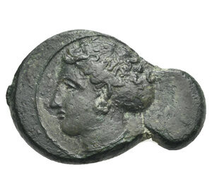 obverse: SICILY. Syracuse. Circa 415-405 BC. Hemilitron (Bronze, 23.00 mm, 4.61 g). Head of Arethusa left, hair bound in sphendone. Rev. Wheel of four spokes; in upper quarters, ΣYPA, in the lower quarters two dolphins heads downwards. Calciati, CNS II, 45, 19. SNG ANS 404. SNG Copenhagen 696. Glossy green patina. Very Fine.
