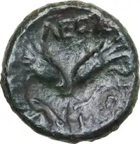 Reverse image