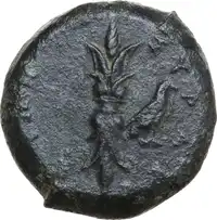 Reverse image