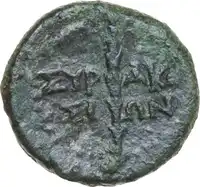 Reverse image