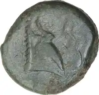 Reverse image