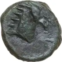 Reverse image
