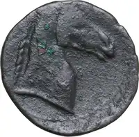 Reverse image