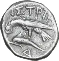 Reverse image