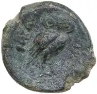 Reverse image